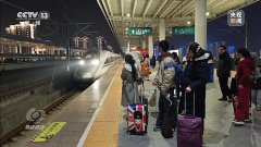 将打点宠物托高铁坐总数扩大到110个