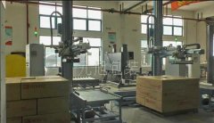 元旭推出的这款伺服码垛机是特地针对市道上保